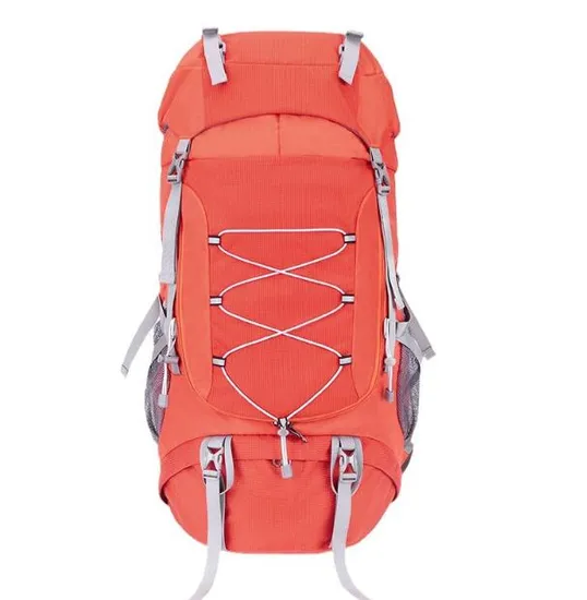 70L Mountain Backpack with Rain Cover Outdoor Climbing Camping Hiking Backpack