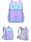 New Integrated Spine Protection and Load Reduction Backpack for Elementary School Students