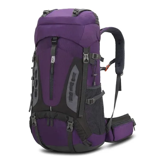 Fashion Leisure Waterproof Nylon Climbing Mountain Sports Travel Hiking Backpack