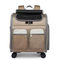 Airline Approved Telescopic Zipper Mesh Breathable Walking Handle Cat Dog Pet Carrier with Wheels Pet Suitcase