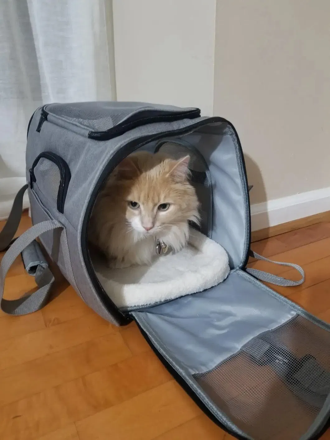 Pet Carrier Bag Hot Sale High Quality Durable Expandable Airline Approved Cat Bag Pet Cages Carrier for Travel