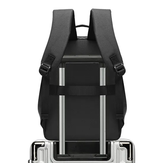 Custom OEM New Laptop Waterproof Men′s Business Anti-Theft Backpack
