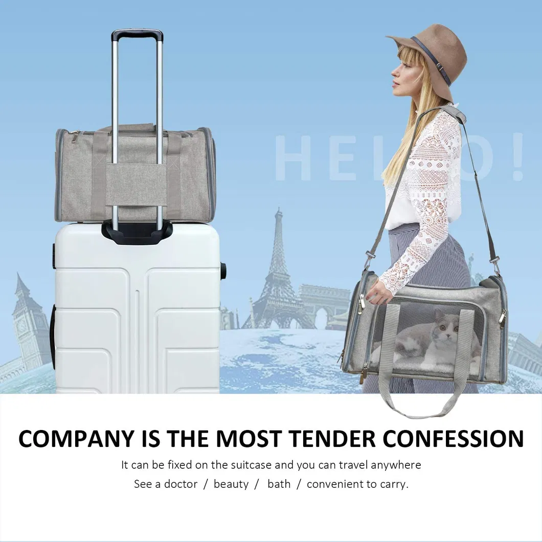 Factory Custom Portable Pet Outdoor Travel Soft Sided Foldable Breathable Small Dog Cat Bag