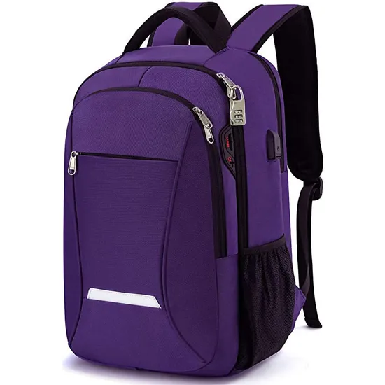 Customized High Quality Travel Laptop School Backpack Business Anti Theft Slim Durable Student Laptop Backpack Bag for Women Men