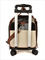 Pet Stroller with Detachable Carrier Pet Trolley Carrier with Wheels Expandable Bag