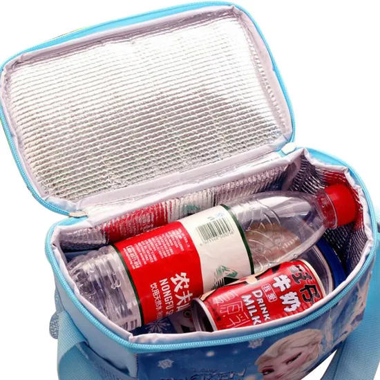 Elsa Cooler Lunch Bag Keep Food Hot for School Insulated Cooler Bag Food Bag