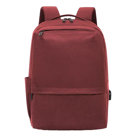 Large Capacity Mens Business Backpack Multifunctional USB Charging Port Computer Business Backpack