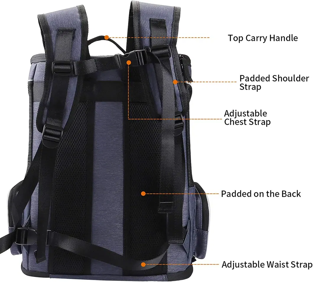Custom Pet Carrier Strap Foldable Travel Backpack with Internal Seat Belt