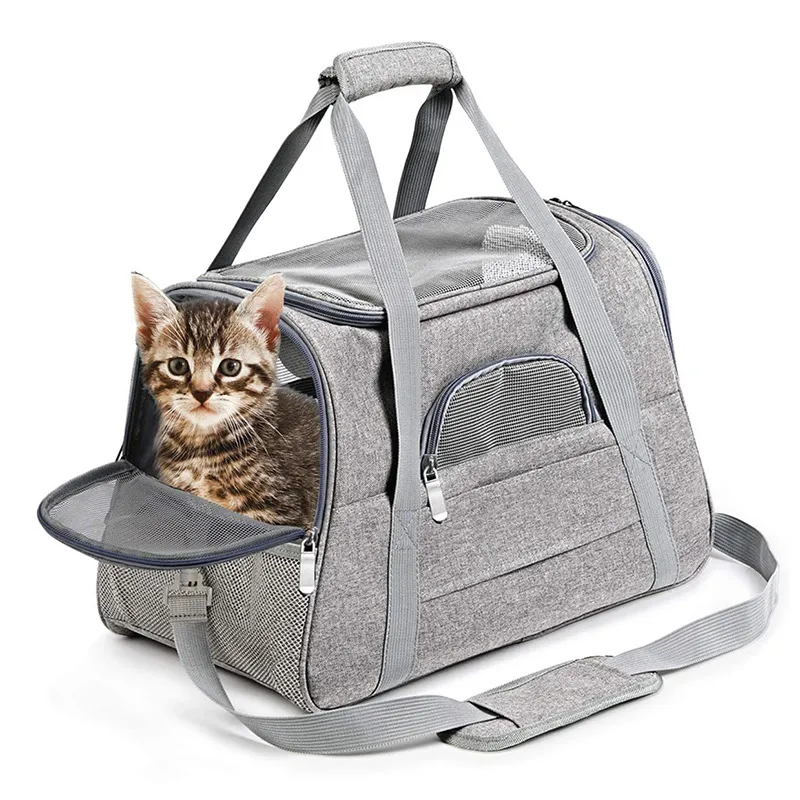 OEM/ODM Eco-Friendly Airline Approved Portable Outdoor Foldable Backpack Cat Pet Puppy Carriers Dog Carry Bags