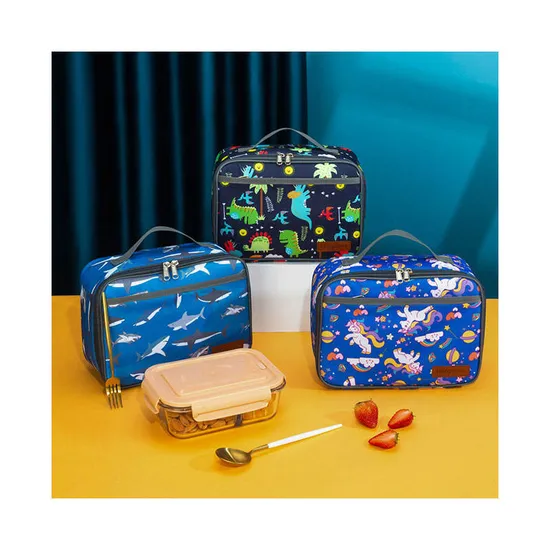 Newest Hot Sale 600 D Oxford Cute Pattern Trending Recycle Cooler Bag with Custom Printed Logo Aluminum Foil Lunch Bag