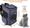 Custom Pet Carrier Strap Foldable Travel Backpack with Internal Seat Belt